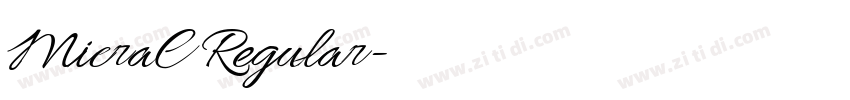 MicraC Regular字体转换